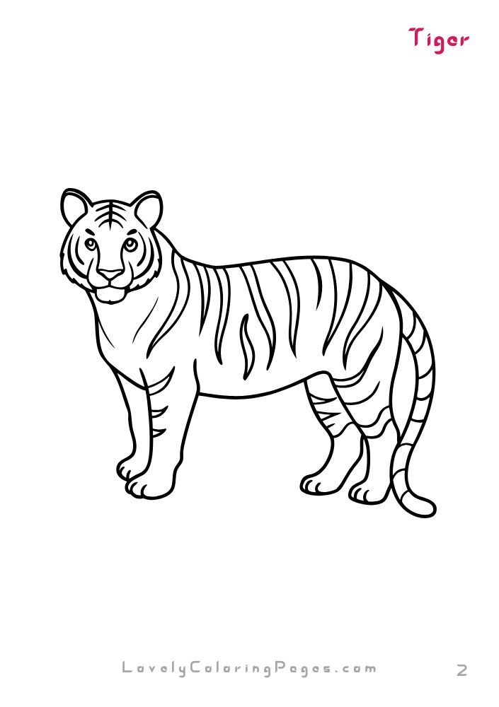 forest animals coloring pages