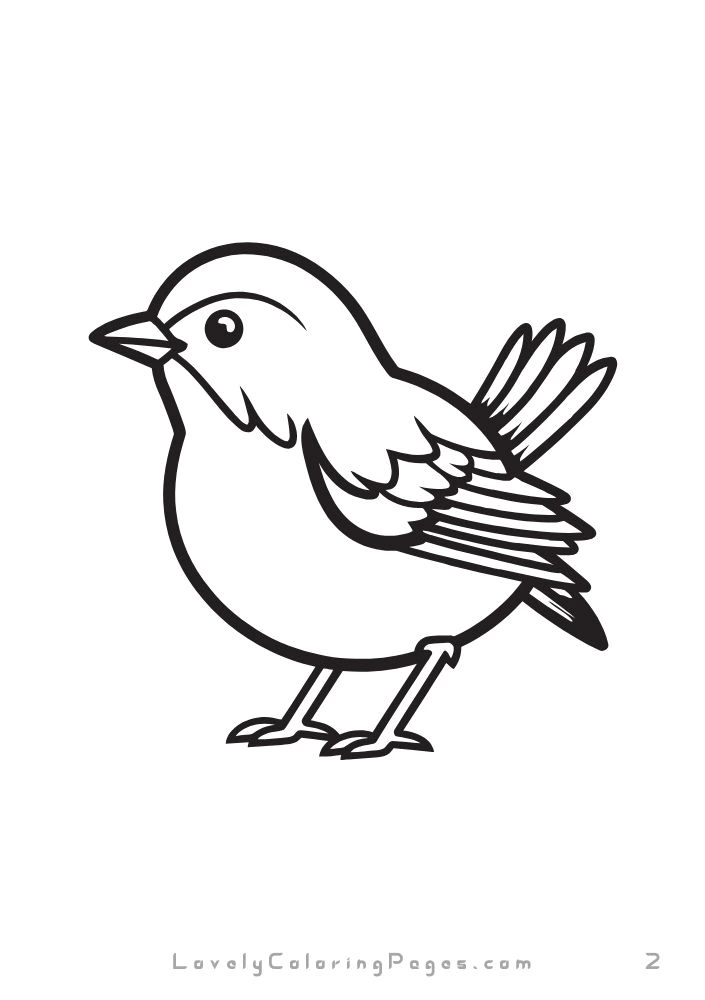 Birds Coloring Pages for kids