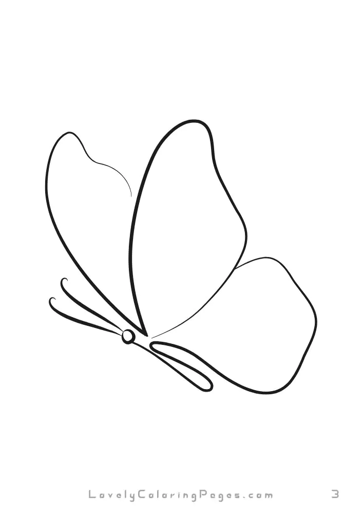 Butterflies Coloring Pages for Kids