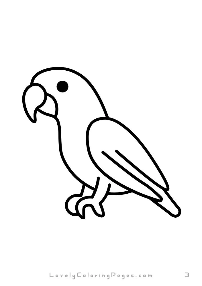 Birds Coloring Pages for kids