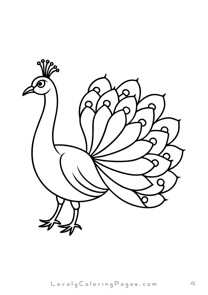 Birds Coloring Pages for kids