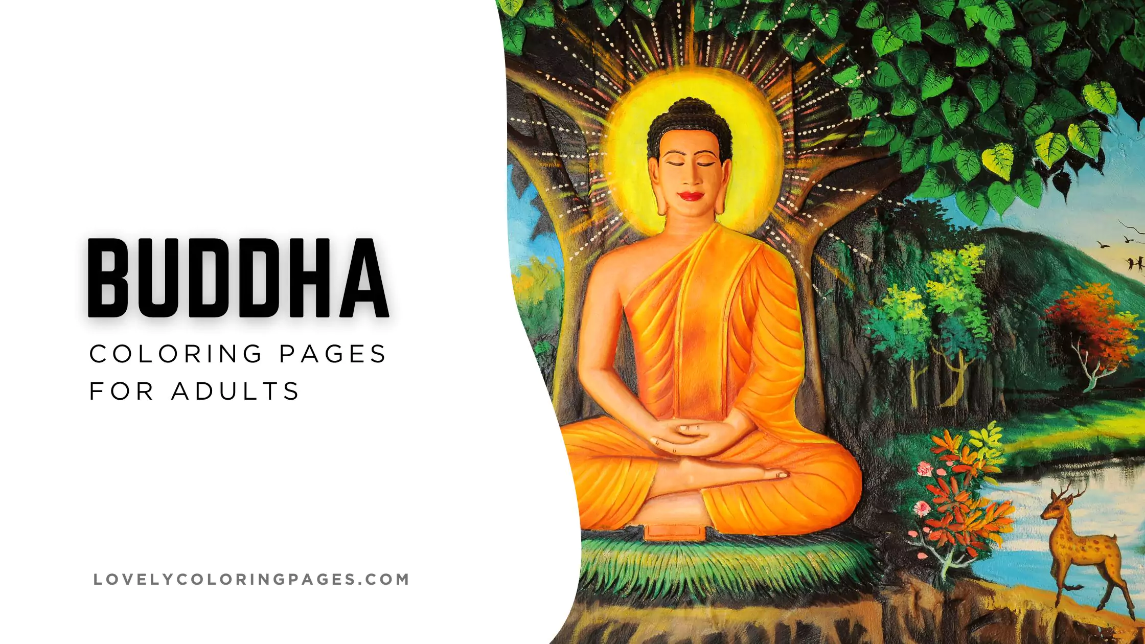 Buddha Coloring Pages for adults