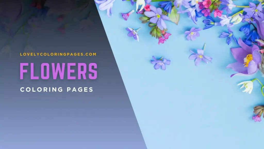 Flowers coloring pages