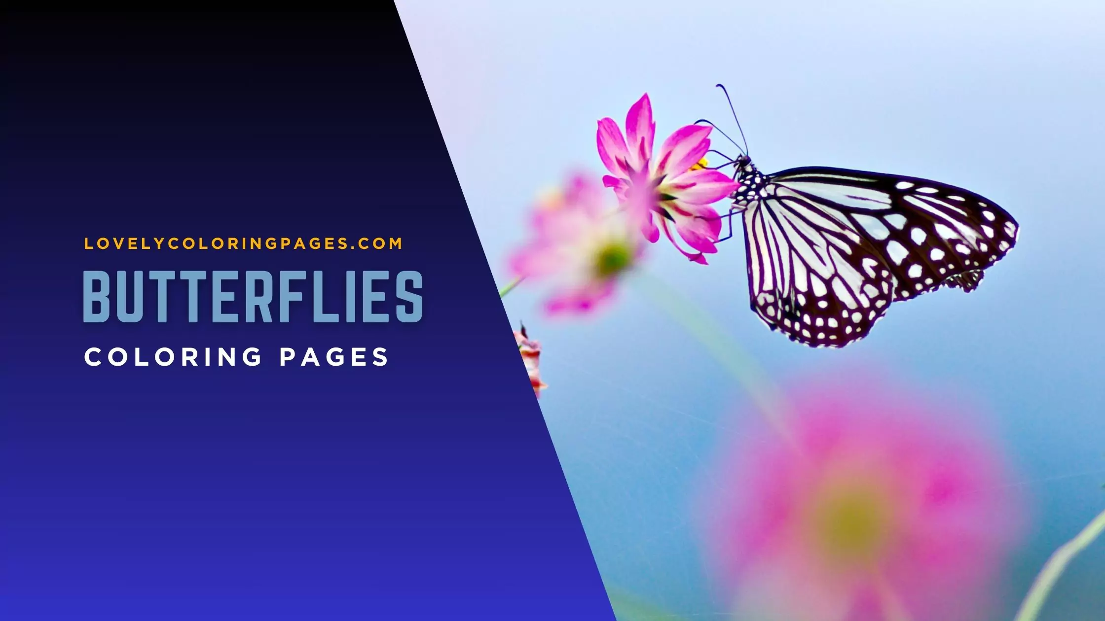 Butterflies Coloring Pages for Kids