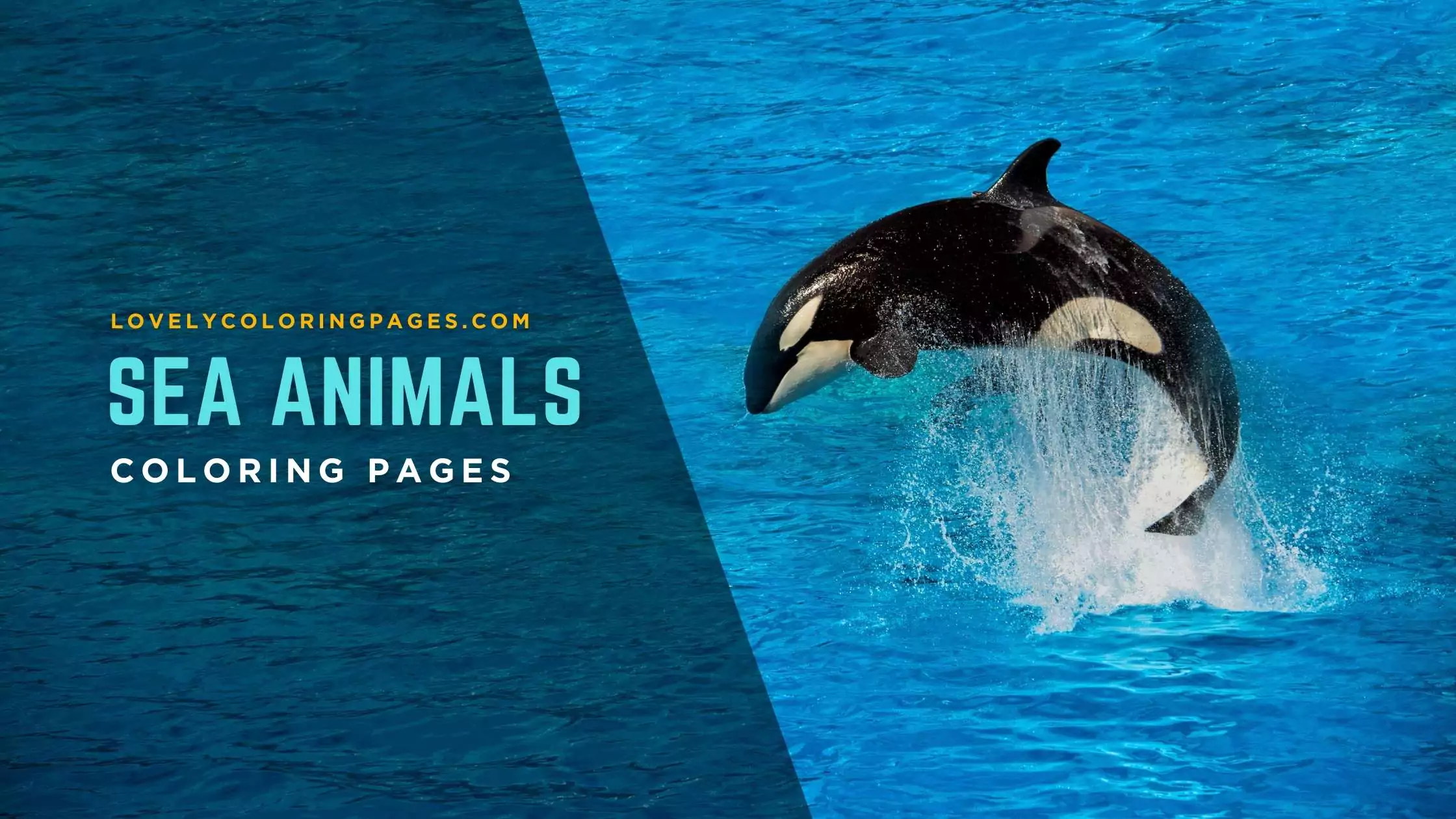 Sea animals coloring pages