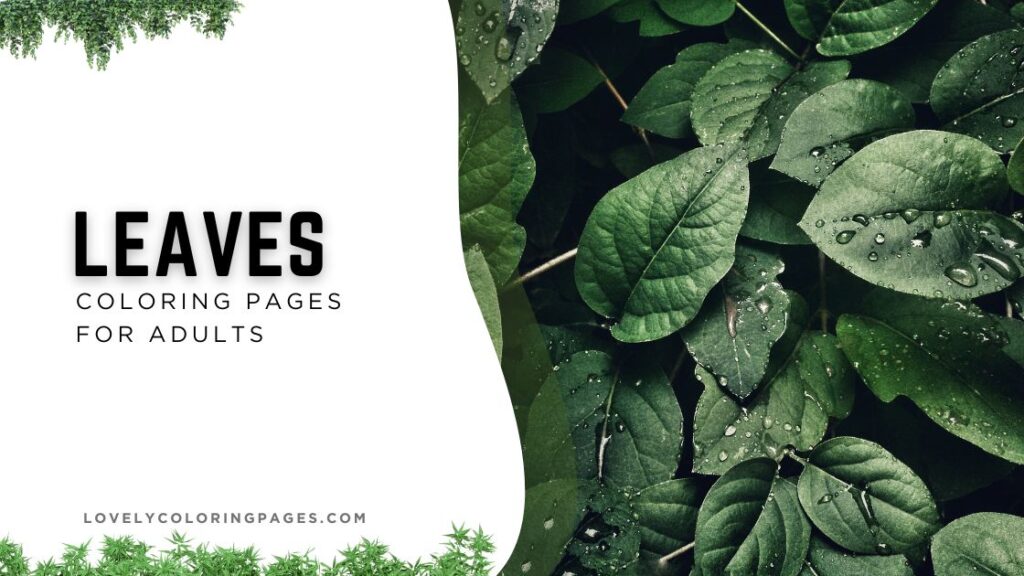 Leaves Coloring Pages for Adults [2025]
