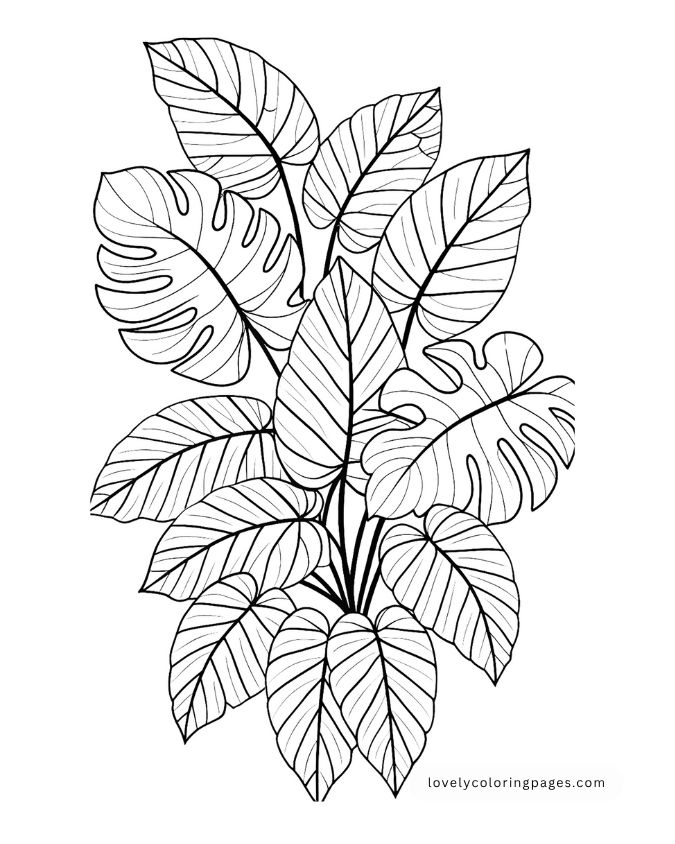 Leaves Coloring Pages for Toddlers [2025]