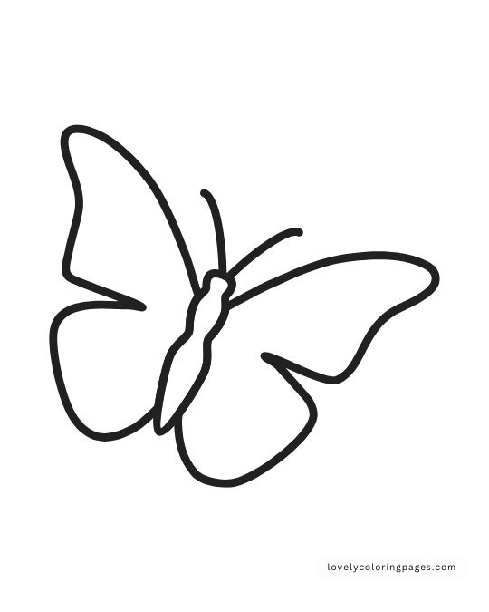 1 8