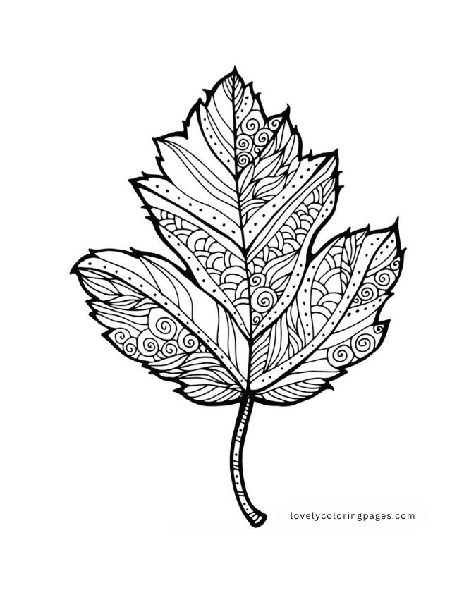 Flowers Coloring Pages for Adults