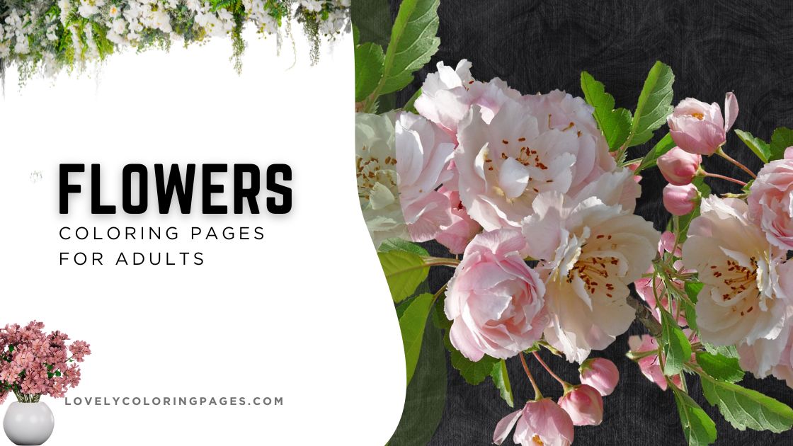 Flowers Coloring Pages for Adults [2025]