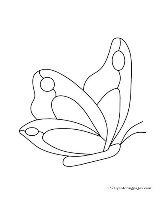 2 8