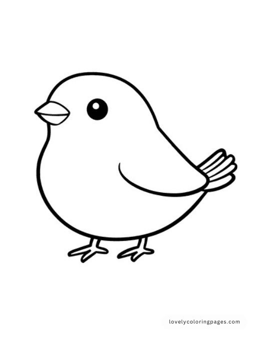 Birds Coloring Pages for Toddlers