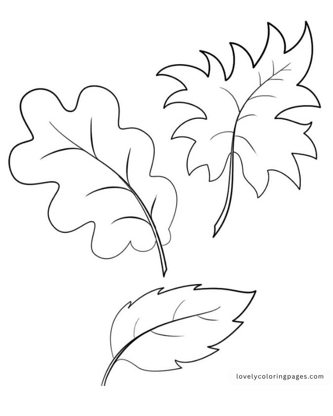 Leaves Coloring Pages for Toddlers [2025]