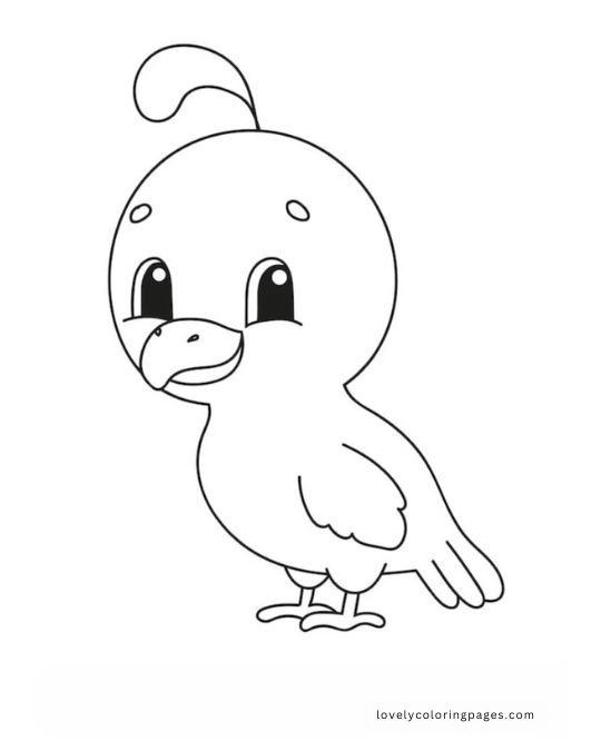 Birds Coloring Pages for Toddlers