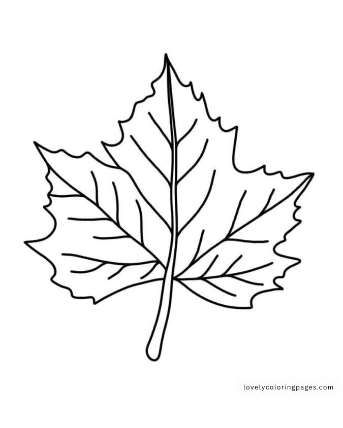 Leaves Coloring Pages for Toddlers [2025]
