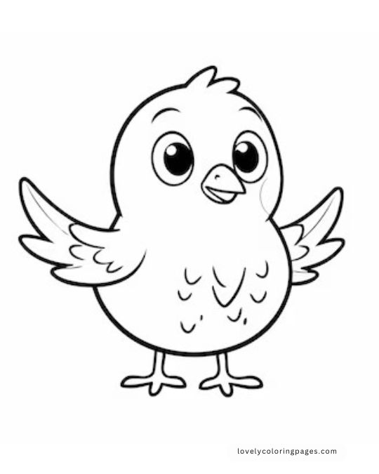 Birds Coloring Pages for Toddlers