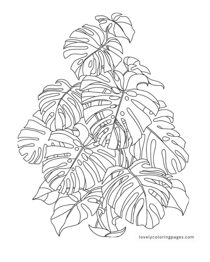 Leaves Coloring Pages for Toddlers [2025]