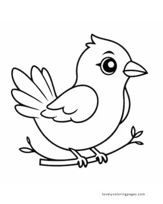 Birds Coloring Pages for Toddlers