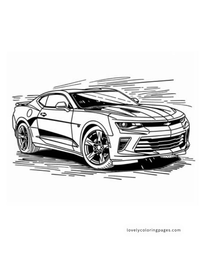 8 1