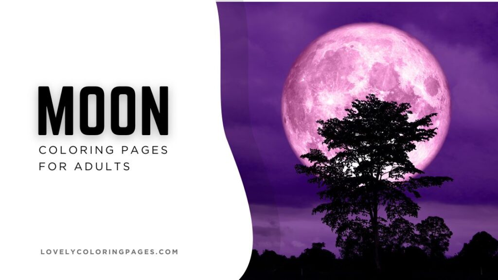 Moon Coloring Pages for Adults [2025]