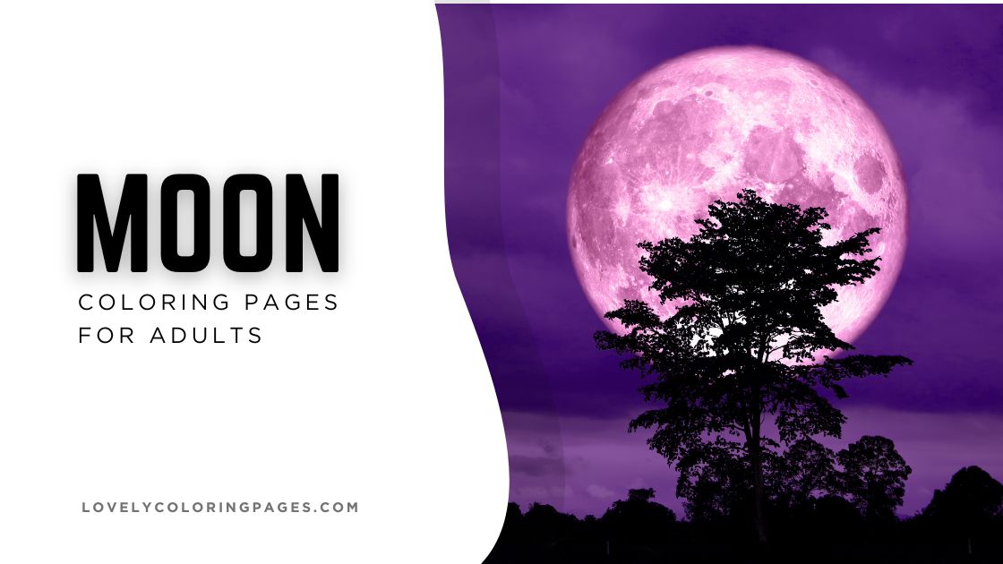 Moon Coloring Pages for Adults [2025]