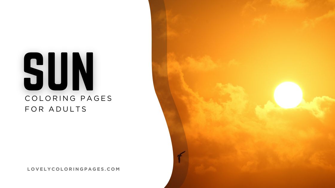 Sun Coloring Pages for Adults [2025]