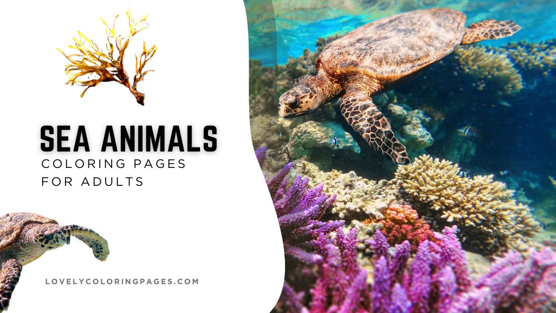 Sea Animals Coloring Pages for Adults [2025]