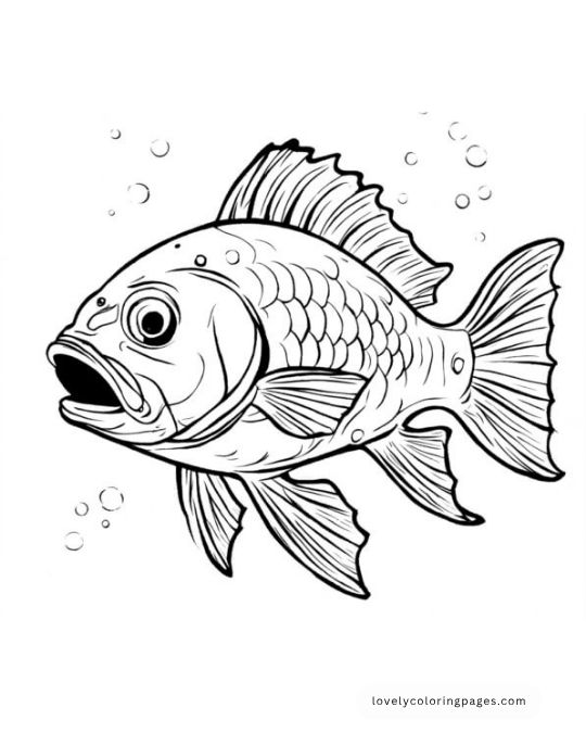 Fish Coloring Pages for Adults [2025]
