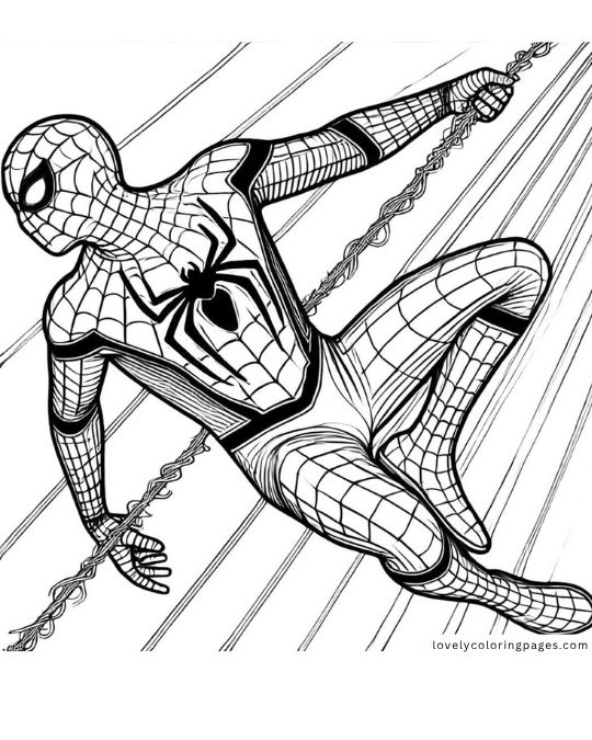 Spiderman coloring pages for Adult 3