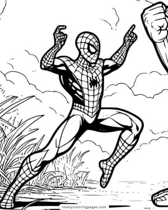 Spiderman coloring pages for Adult 4