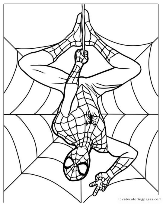 Spiderman coloring pages for kids - 7