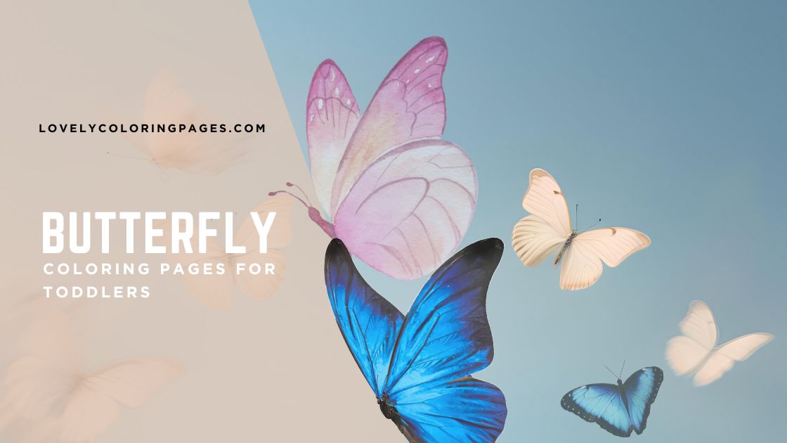 Butterfly Coloring Pages for Toddlers [2025]