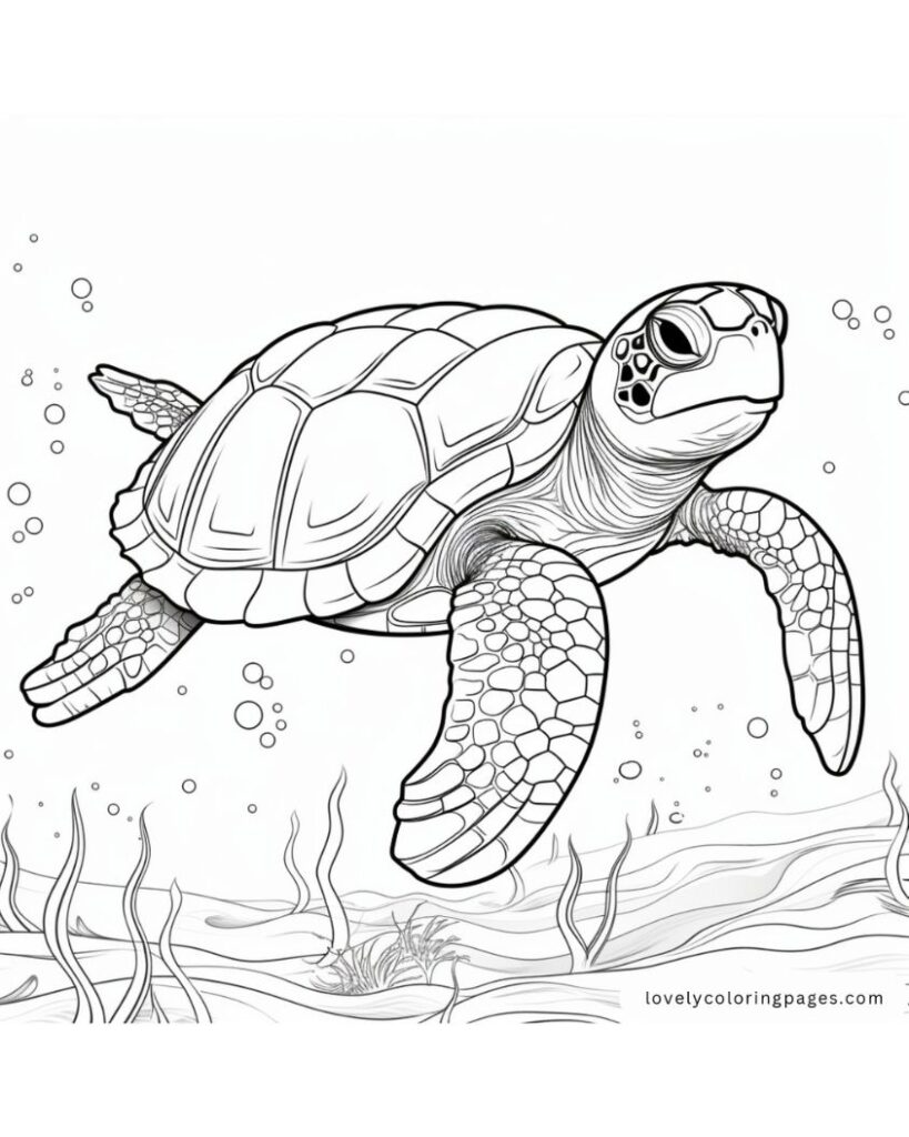 Sea Animals Pages for Adults
