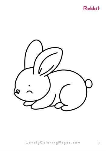 Rabbit Coloring page